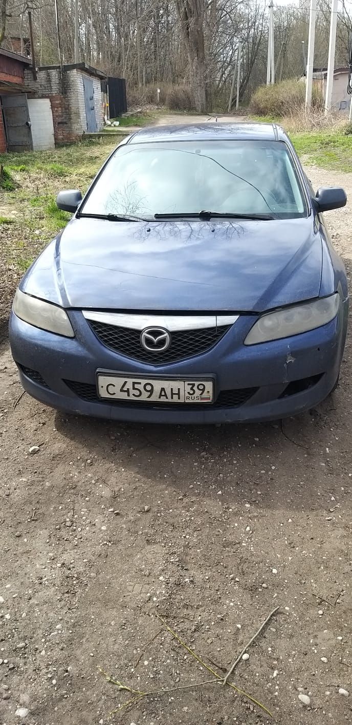 Изображение WhatsApp 2025-05-05 в 12.27.00_d500c885
